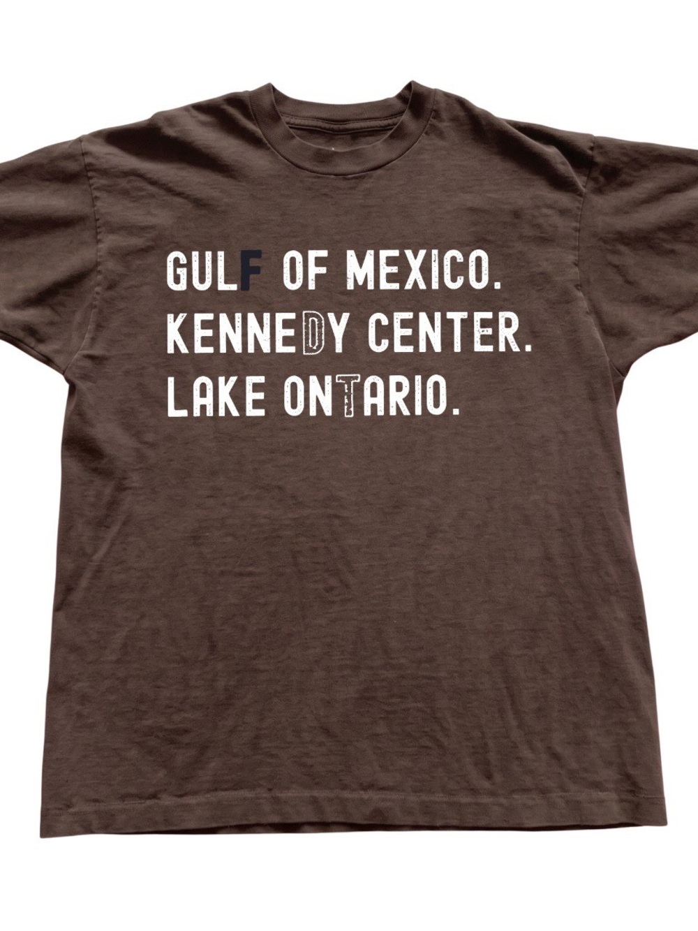 Gildan Brown Graphic Tee with White Text, Gift For Him, For Her